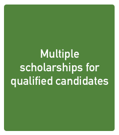 Training Courses in Dubai